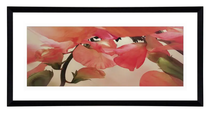 Obraz Groszek w ramie 91x46 cm