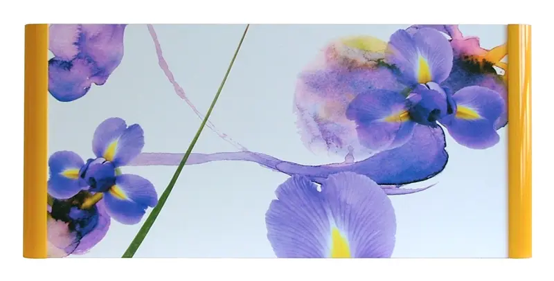 Obraz Irysy 100x50 cm