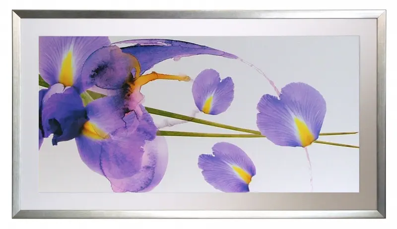 Obraz Irysy w ramie z passe-partout 110x60 cm