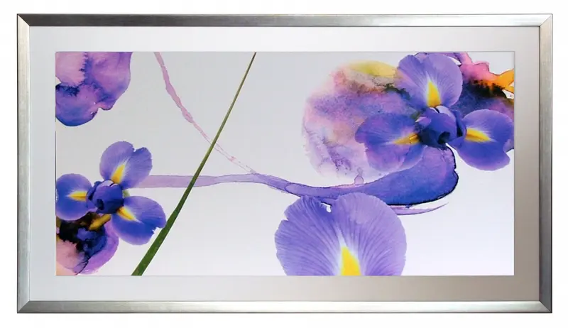 Obraz Irysy w ramie z passe-partout 110x60 cm