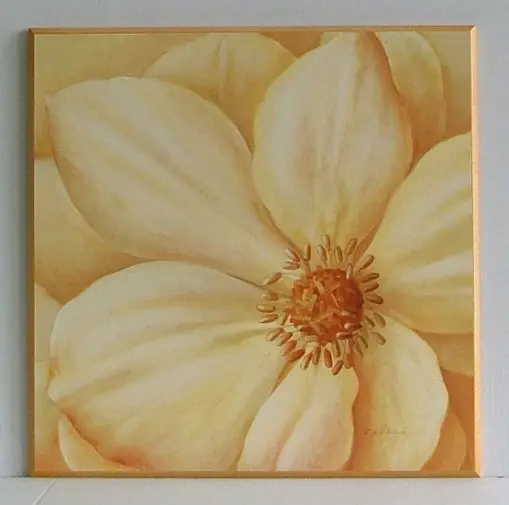 Obraz Kadr białego kwiatu 51x51 cm