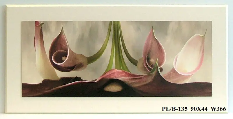 Obraz Kalle 90x44 cm