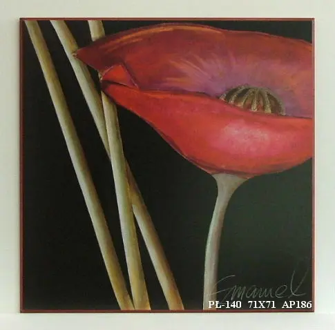 Obraz Kielich czerwonego kwiatu 71x71 cm