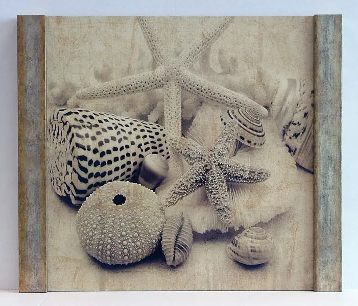 Obraz Kolekcja muszli I, fotografia w sepii na płycie oprawiona w pionowe ramy 50x50 cm
