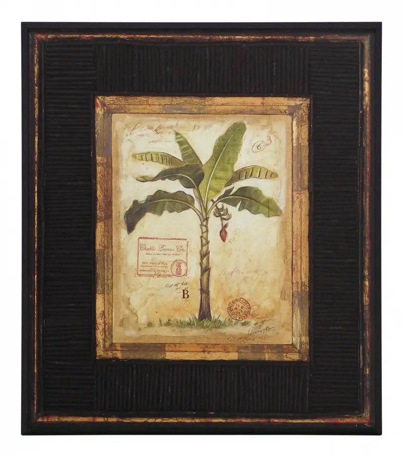 Obraz Kolekcja 'Palmy', Banana Palm na płycie z pogrubieniem 36x41 cm