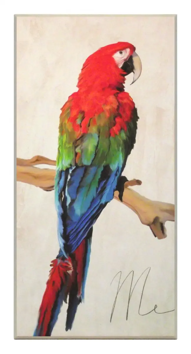 Obraz Kolorowa papuga na gałęzi 36x71 cm