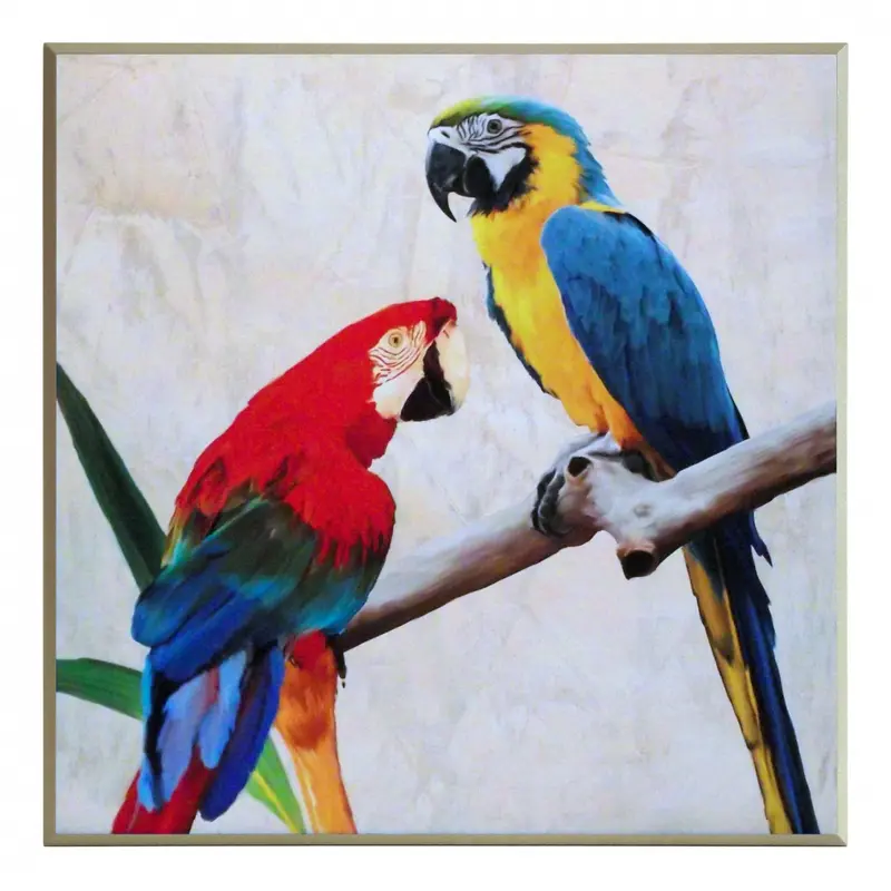 Obraz Kolorowe papugi na gałęzi 51x51 cm