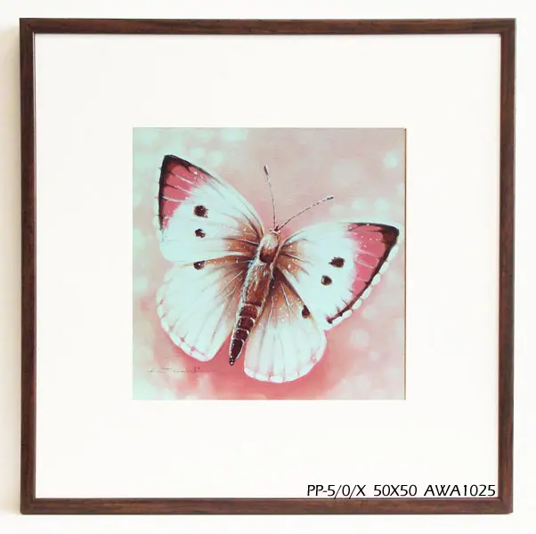 Obraz Kolorowy motyl 50x50 cm