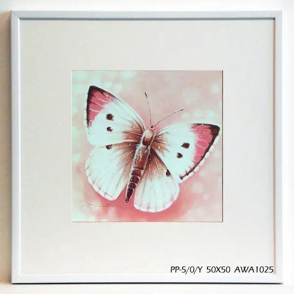 Obraz Kolorowy motyl 50x50 cm
