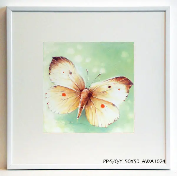 Obraz Kolorowy motyl 50x50 cm