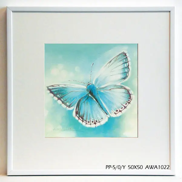 Obraz Kolorowy motyl 50x50 cm