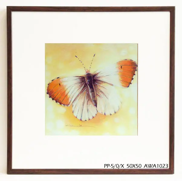Obraz Kolorowy motyl 50x50 cm