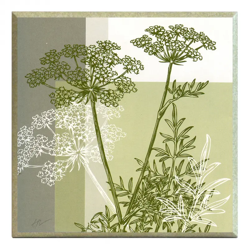 Obraz Kontur kwiatów kopru na płycie 31x31 cm