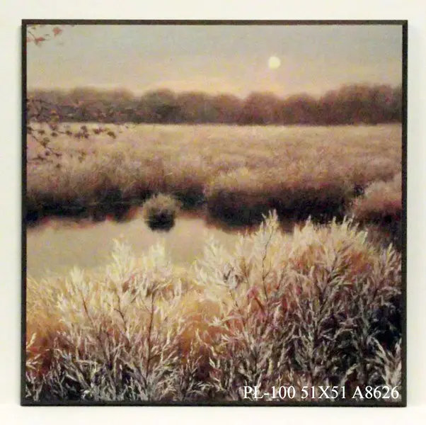 Obraz Krajobraz nad jeziorem w bieli 51x51 cm