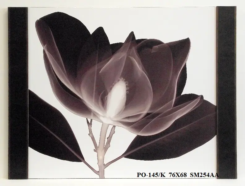 Obraz Kwiat 76x68 cm