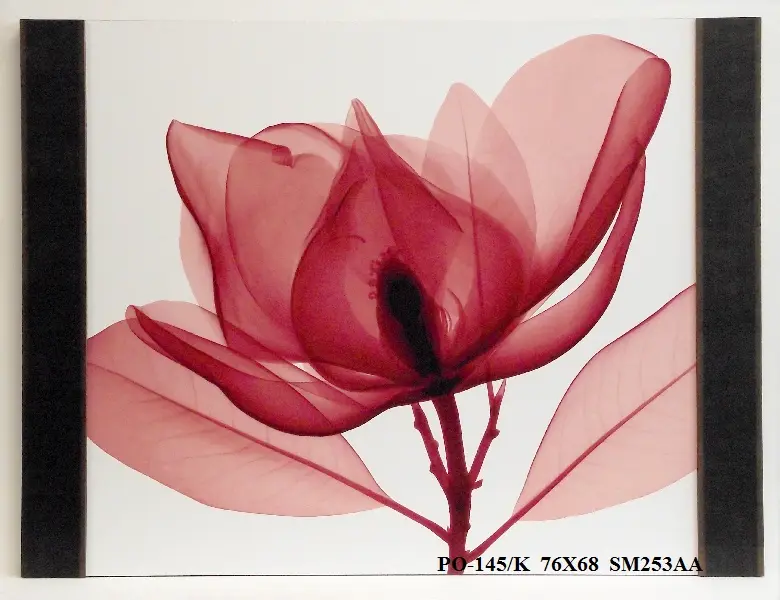 Obraz Kwiat 76x68 cm