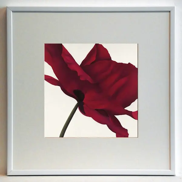Obraz Kwiat czerwonego maku 50x50 cm