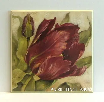 Obraz Kwiat czerwonej peonii 41x41 cm