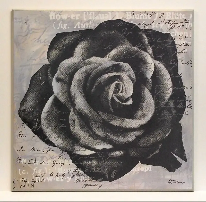 Obraz Kwiat inspirowany pop-artem w szarości 71x71 cm