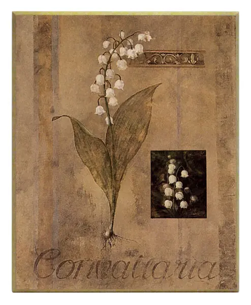 Obraz Kwiat konwalii 42x51 cm