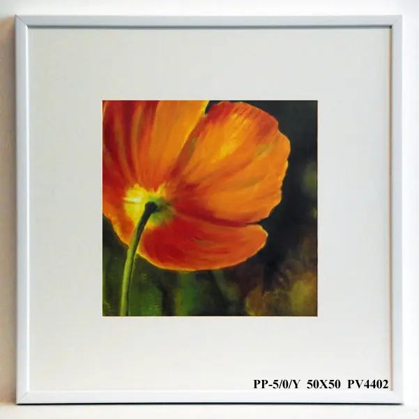 Obraz Kwiat maku 50x50 cm