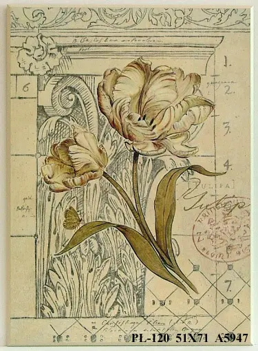 Obraz Kwiat na tle szkiców kolumny 51x71 cm