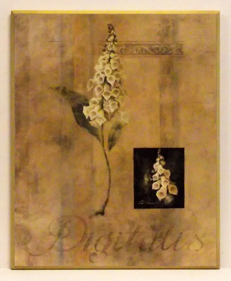 Obraz Kwiat naparstnicy 42x51 cm