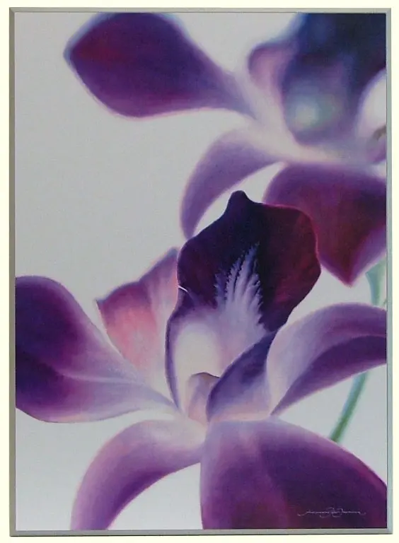 Obraz Kwiat storczyka, zbliżenie 51x71 cm