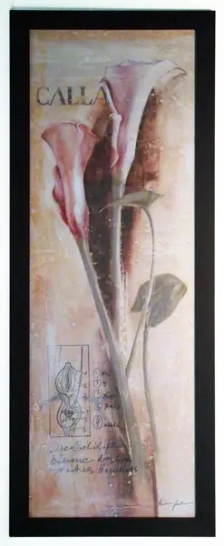 Obraz Kwiat ze szkicem, kalla 35x102 cm