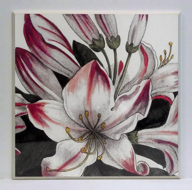 Obraz Kwiaty białej azalii 47x47 cm