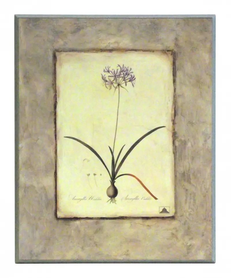 Obraz Kwiaty cebulowe, Amarylis na płycie 41x51 cm