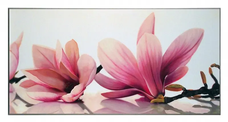 Obraz Kwiaty magnolii 101x51 cm