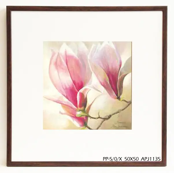Obraz Kwiaty magnolii 50x50 cm