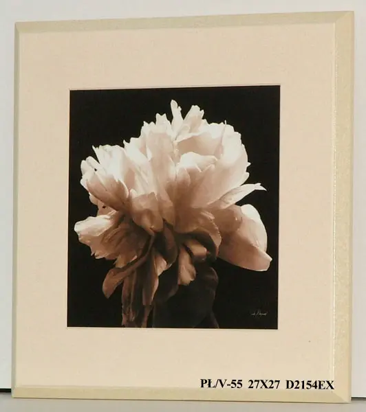 Obraz Kwiaty na czarnym tle 27x27 cm