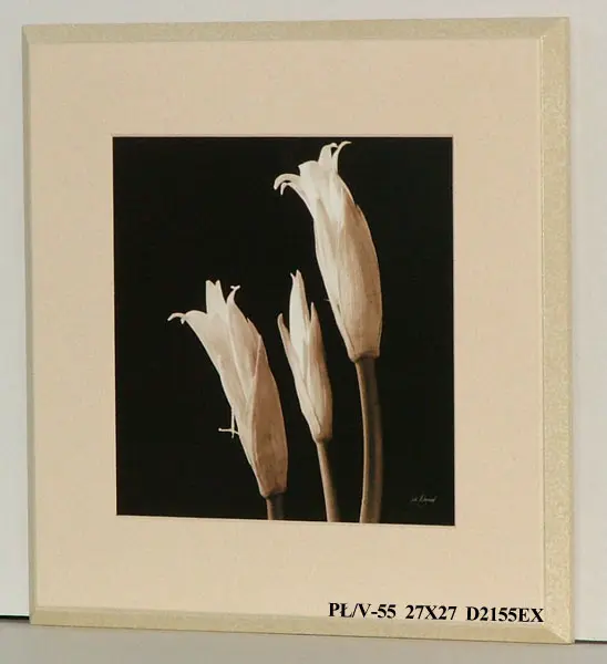 Obraz Kwiaty na czarnym tle 27x27 cm