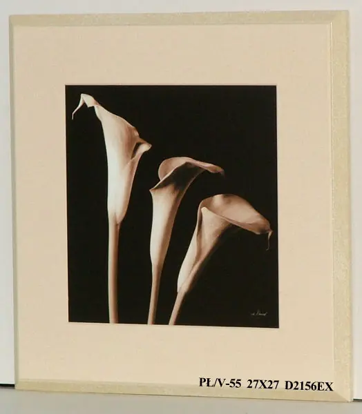 Obraz Kwiaty na czarnym tle 27x27 cm