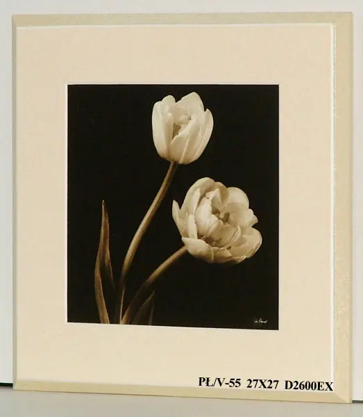 Obraz Kwiaty na czarnym tle 27x27 cm