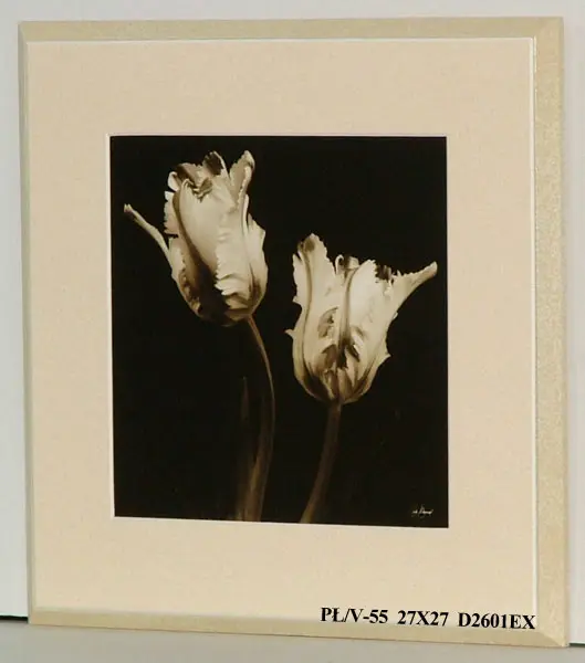 Obraz Kwiaty na czarnym tle 27x27 cm