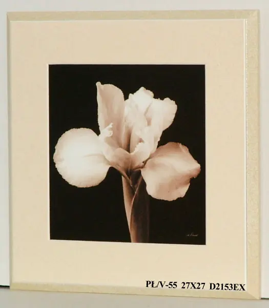 Obraz Kwiaty na czarnym tle 27x27 cm