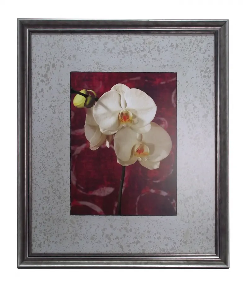Obraz Kwiaty Orchidei na srebrzystym tle w ramie 50x60 cm