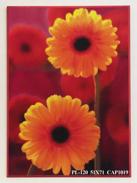 Obraz Kwiaty w czerwieni, gerbery 51x71 cm