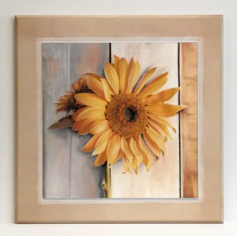 Obraz Kwiaty w pastelach, Słonecznik na płycie z pogrubieniem 51x51 cm