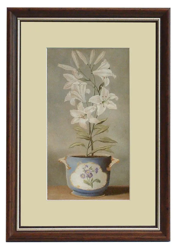 Obraz Kwiaty w porcelanowych doniczkach, Biała Lilia w ramie 20x32 cm