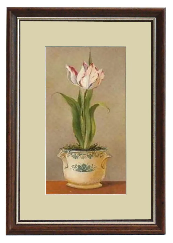 Obraz Kwiaty w porcelanowych doniczkach, Tulipan w ramie 20x32 cm