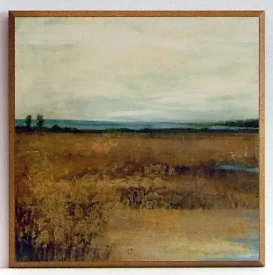 Obraz Łąki nad rzeką 31x31 cm