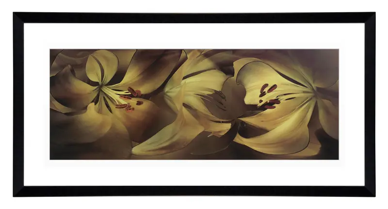 Obraz Lilie w ramie 91x46 cm