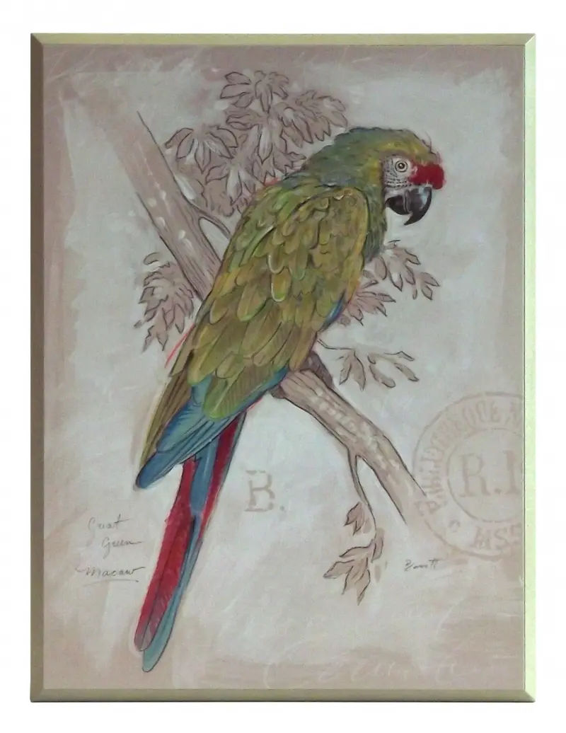 Obraz Limonkowa Papuga na płycie 31X41 cm