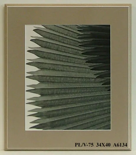 Obraz Liść, kadr 34x40 cm