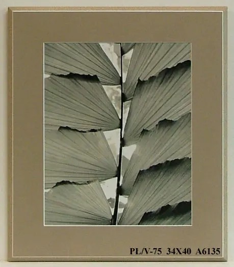 Obraz Liść, kadr 34x40 cm