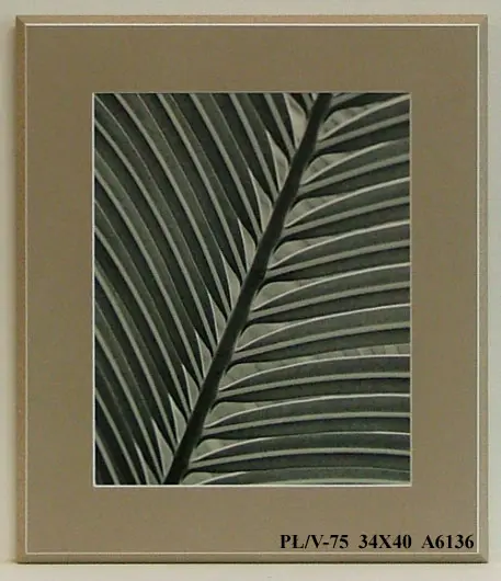 Obraz Liść, kadr 34x40 cm